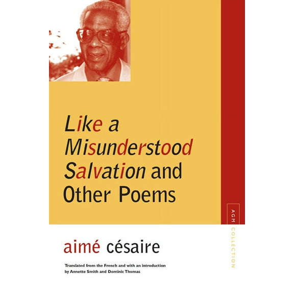Avant-Garde & Modernism Collection: Like a Misunderstood Salvation and Other Poems (Paperback)