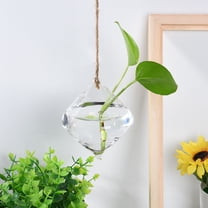Plant Terrarium,Plant Propagation Station,Propagation Vases,Air Planter Glass Vase for Hydroponics Home Garden Office Decoration,Unique Gardening Plant Gifts Birthday Gifts for Plants Lovers,1PC