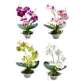 thumbnail image 4 of Three-pronged Phalaenopsis bonsai artificial flower ornaments artificial plants, 4 of 6