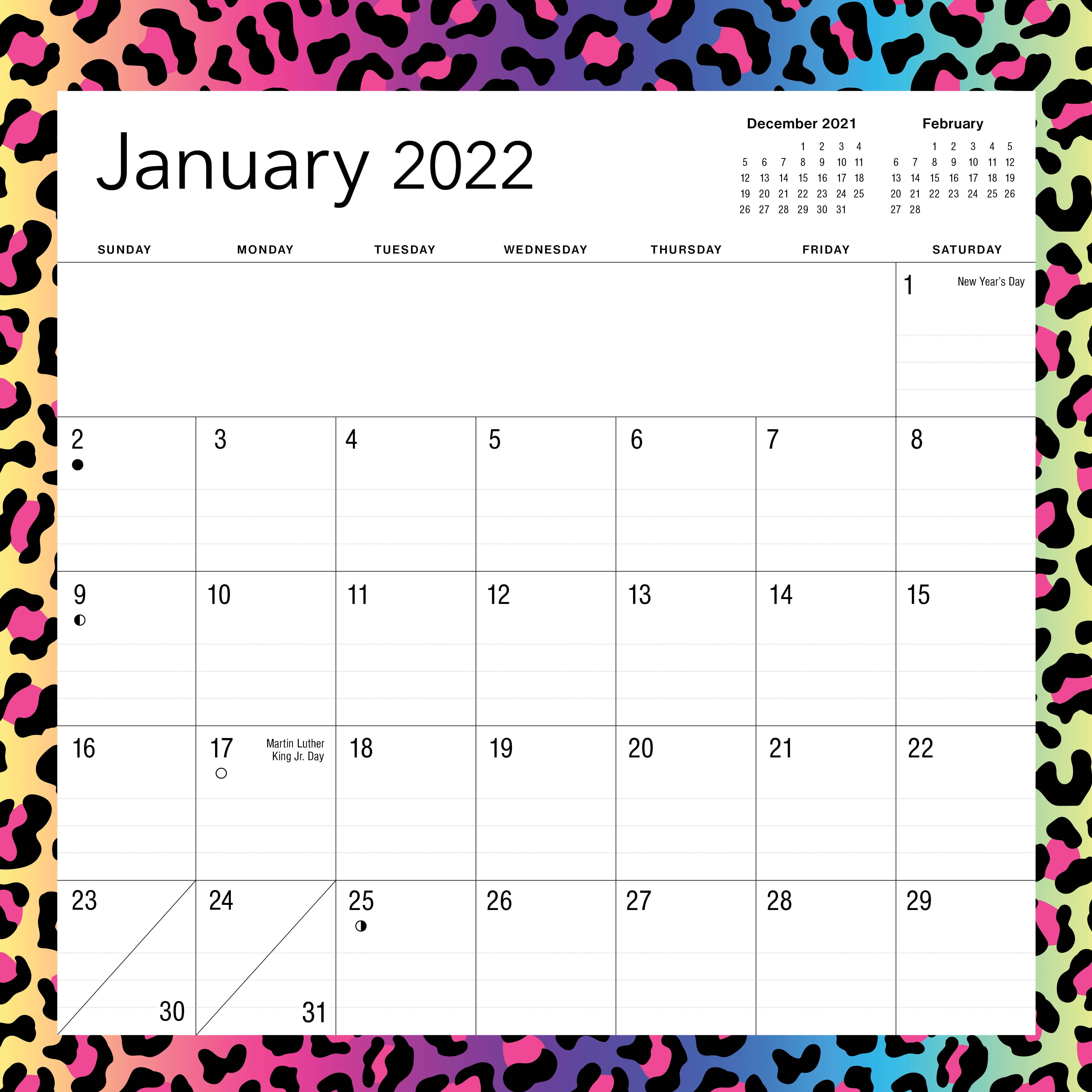 Pen+Gear Pen + Gear 2022 12x12 Leopard Spiral 12 Month Calendar