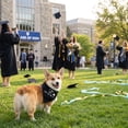 thumbnail image 6 of Graduation Dog Bandana, Funny "My Mommy Did It" & "It Was Ruff, But We Did It" Pet Bib Scarf for Class of 2026 Ceremony, Adjustable Triangle Neck Tie for Photo Props B, 6 of 7