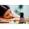 thumbnail image 4 of Honeysuckle Fragrance Oil 10 mL (1/3 Oz) Aromatherapy - 100% Pure Organic Aromatic Premium Essential Scented Perfume Oil by Sponix Made in USA, 4 of 8