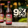 thumbnail image 6 of Dogfish Head 90 Minute Imperial IPA Craft Beer, 6 pack, 12 fl oz Glass Bottles, 9% ABV, 6 of 8