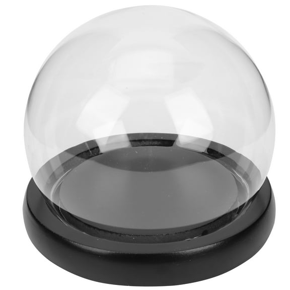 LED Lights Display Glass Cover Intriguing Decoration