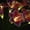 Deep pink, variant on Solar Garden Lights Outdoor, 6 Lily Flowers LightsSolar Firefly Swaying Light with Color Changing LED Lily, Waterproof Decorative Flowers for Decor for Yard, Patio, Pathway, Gifts for Women Mom