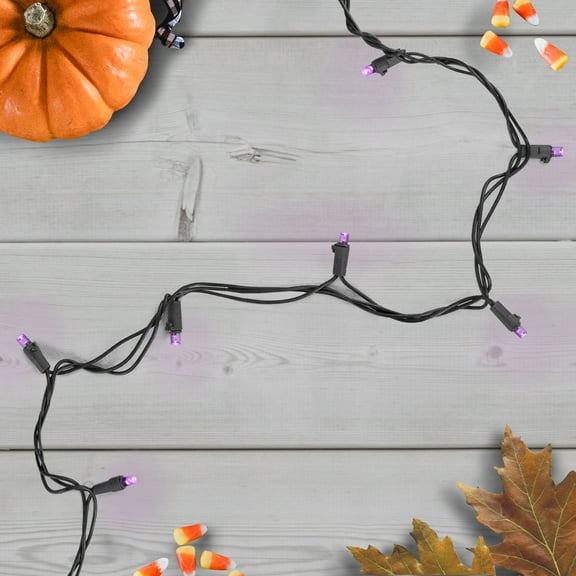 Wide Angle LED Christmas Lights - Purple - 16' Black Wire - 50ct