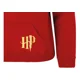 thumbnail image 2 of Sudadera Harry Potter Escuela Hogwarts (letras Doradas), 2 of 5