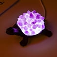 thumbnail image 6 of 1PC Natural Crystal Amethyst Cluster Turtle Statue Original Gem Citrine Rough Raw Stone Crystal Decorative Night (Citrine), 6 of 6