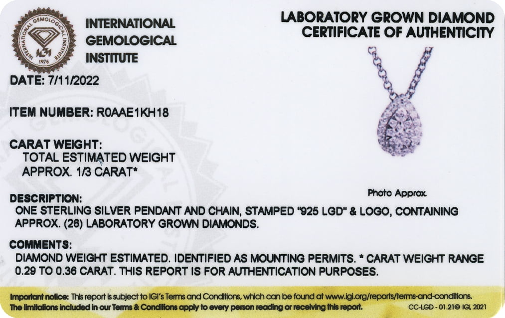 Forever Facets 1/3 CT TW Lab Grown Diamond Necklace in Platinum over Sterling Silver, Adult Female