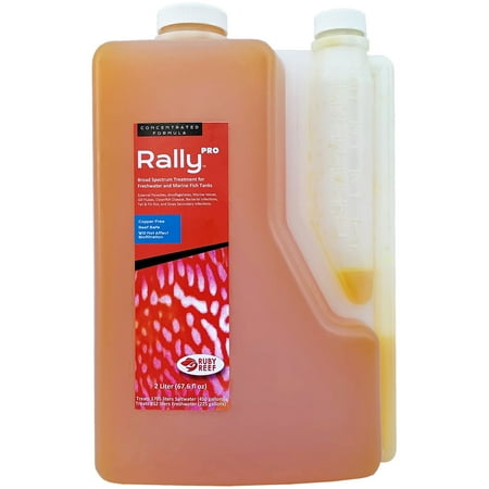 UPC: 0685759130323 | Ruby Reef Rally