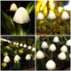 thumbnail image 5 of Guirlande Lumineuse Solaire Led Jardin Extrieur, Fe Champignon Guirlande Lumineuse 3,85 Mtres 12 Lumires Toujours Allumes - Blanc Chaud Kaili Sencillez, 5 of 5