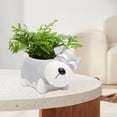 thumbnail image 3 of ornament decor,Resin Sleeping Pet Succulent Flower Pot Creative Garden Desktop Pot Decoration,Gray, 3 of 5