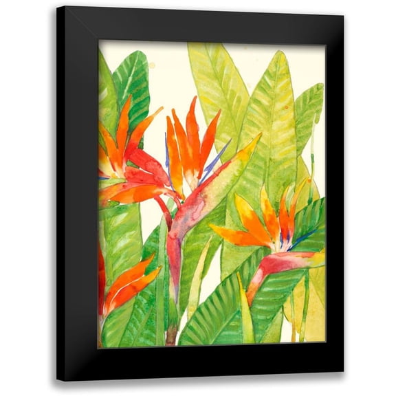 OToole, Tim 12x14 Black Modern Framed Museum Art Print Titled - Watercolor Tropical Flowers IV