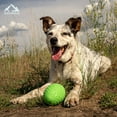 thumbnail image 3 of Hound2O Dog Toys | Squeaky Football, Grreen | Durable & Floating Outdoor Toy for Dogs, 3 of 6