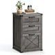 thumbnail image 1 of Archivador VASAGLE con soporte para impresora de 3 cajones, gris, 1 of 6