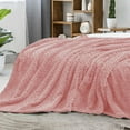thumbnail image 4 of Fleece Throw Blanket, 50''x60'', Pink Blanket, Fuzzy Blanket for Sofa, Cozy Plush Fleece Blanket Throw Size, Flannel Blankets Throw, 4 of 7