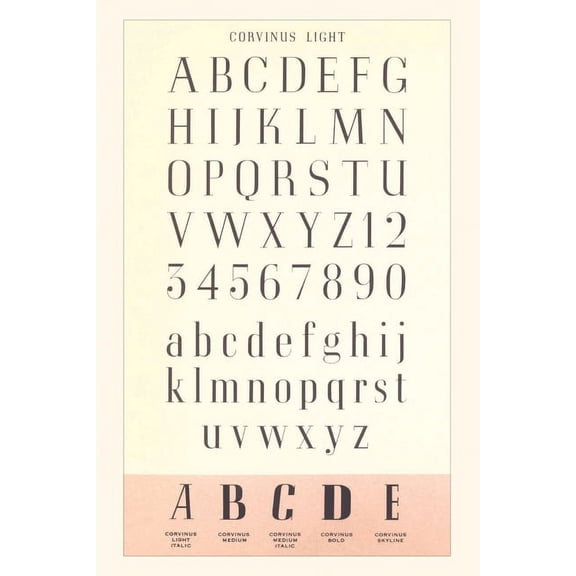 Pocket Sized - Found Image Press Journals: Vintage Journal Font Sample Chart, Corvinus (Paperback)