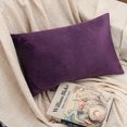 thumbnail image 3 of NTBAY 2 Pack Velvet Decorative Throw Pillow Cover with Hidden Zipper, 12"x20", Purple, 3 of 5