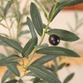 thumbnail image 3 of 5ft Fake Plastic Olive Tree with Oval White Planter, Pre Potted Faux Greenry Plant for Home Decor Office House Living Room Indoor Outdoor, Big Fake Plants Fake House Plants, 3 of 7