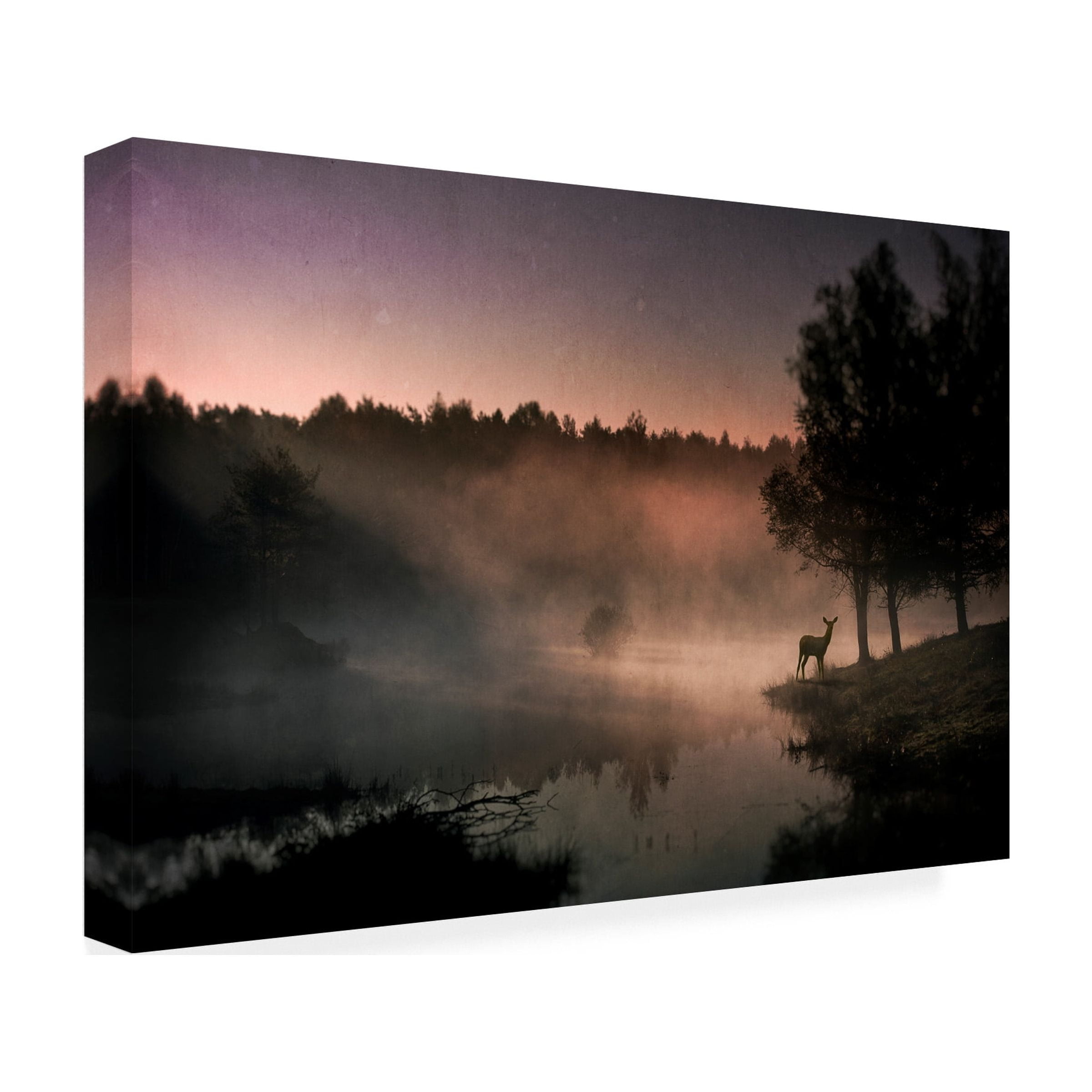 Wim Schuurmans 'Steamy Water' Canvas Art