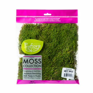 Moss Dried Moss Simulation Moss Microlandscape Flower Arrangement