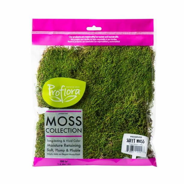ProFlora Green True Moss Sheet, 2oz Floral Arranging Supplies