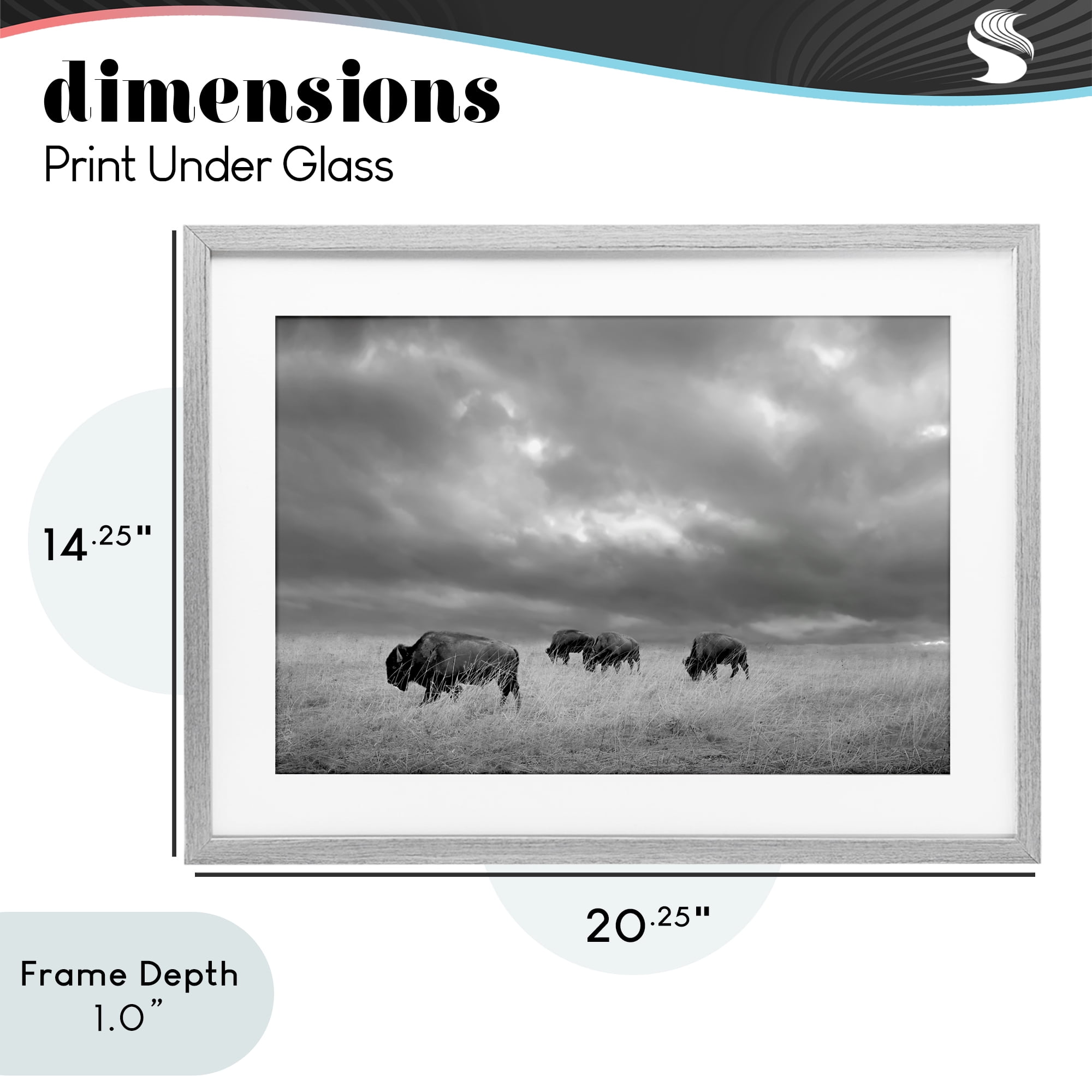 Stupell Industries Bisons Under an Autumn Sky Gray Framed Print Under Glass, design by Steve Toole