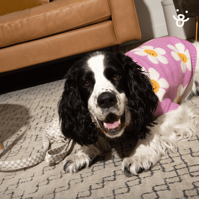 Oodles Purple Daisy Dreams Turtle Neck Fall Dog Sweater, Small
