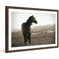 thumbnail image 2 of "Horse in Wind" Framed Painting Print, 2 of 6