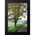 thumbnail image 2 of Burt, D. 11x14 Black Modern Framed Museum Art Print Titled - Almost Autumn, 2 of 5