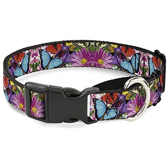 Buckle-Down Vivid Butterfly Garden Martingale Dog Collar