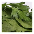 thumbnail image 3 of Perejil liso por pieza, 3 of 4