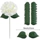thumbnail image 3 of Paquete de cabezas de flores de seda de hortensias blancas Flores de hortensias blancas completas artificiales con tallos para la decoración de la fiesta de bienvenida al bebé de la boda (10 flores + TUNC Sencillez, 3 of 5