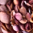 thumbnail image 4 of Hill Interiors Artificial Autumn Hydrangea, 4 of 4