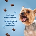 thumbnail image 5 of Bil-Jac Little Jacs Small Dog Chicken Liver Dog Treats, 12 oz, 5 of 6