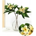 thumbnail image 4 of 35.5 Inch Artificial Flowers Artificial Frangipani Flower Stems Lifelike Real Touch Artificial Plumeria Flowers for Home Party Wedding Bouquet Home Decoration (Yellow), 4 of 5