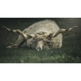 thumbnail image 3 of De Franzoni, Thomas 24x15 Black Modern Framed Museum Art Print Titled - Something On My Mind, 3 of 5