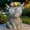 Stone Highland Cow, variant on Outdoor Solar Garden Statue, Dynamic LED Light with Flower Sculpture, Art Decor for Patio Porch Lawn Backyard, Housewarming Gifts for Women (Stone Owl)