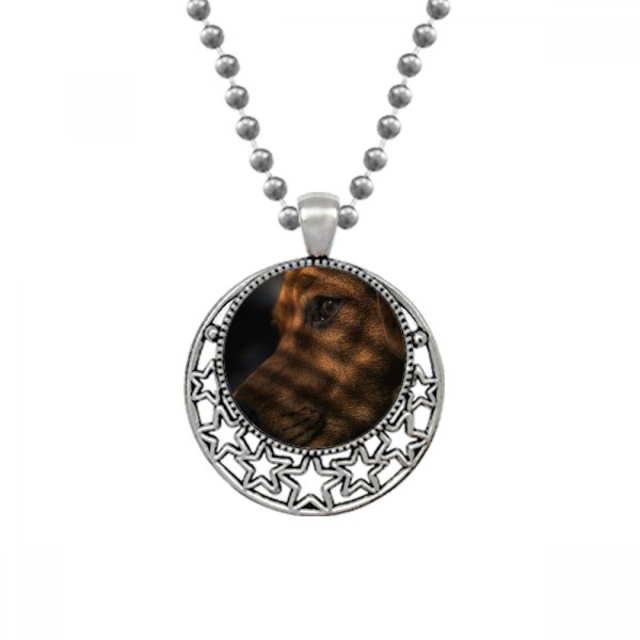 Colliers Pendentifs Image Sentimentale Animal de Compagnie Chien Lune Rétro Étoiles Bijoux