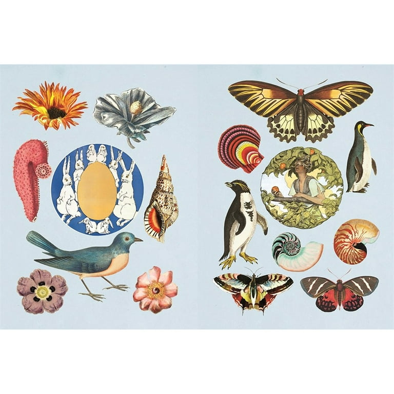 The Antiquarian Sticker Book 他4冊セット 81+qW8Fd-DL._AC_UF350,