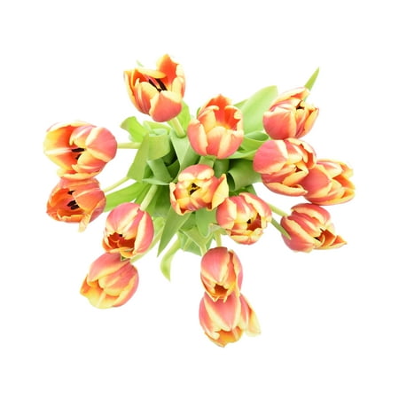 Mother's Day Tulip, 14 Stem