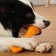 thumbnail image 5 of Juguetes duraderos para perros para masticadores agresivos, juguetes para masticar perros, juguetes para masticar cachorros, juguetes para , NARANJA Colco Juguetes para masticar mascotas, 5 of 8