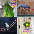 thumbnail image 3 of # Parrot Bird Toy Set with Ladder, Swing, Rainbow Bridge, and Dressage Dance Step, 3 of 5