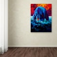 thumbnail image 3 of Trademark Fine Art 'Working The Shallows' Canvas Art by Marion Rose, 3 of 3