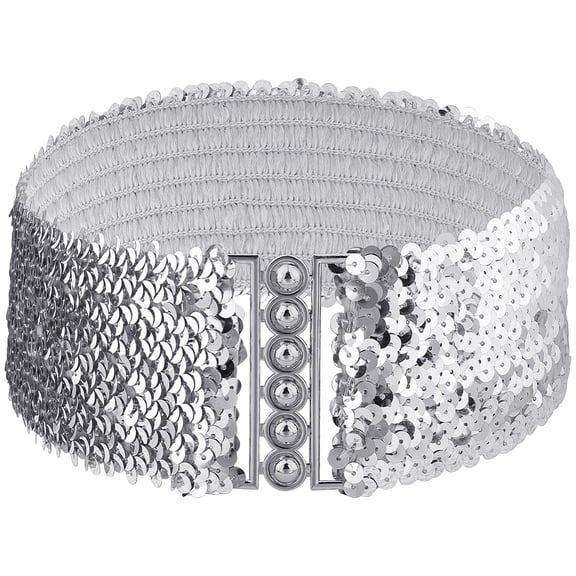 tic Belt Stretchy Waistband Chain Waist Belts for Women Dress Clothing Accessory Silver