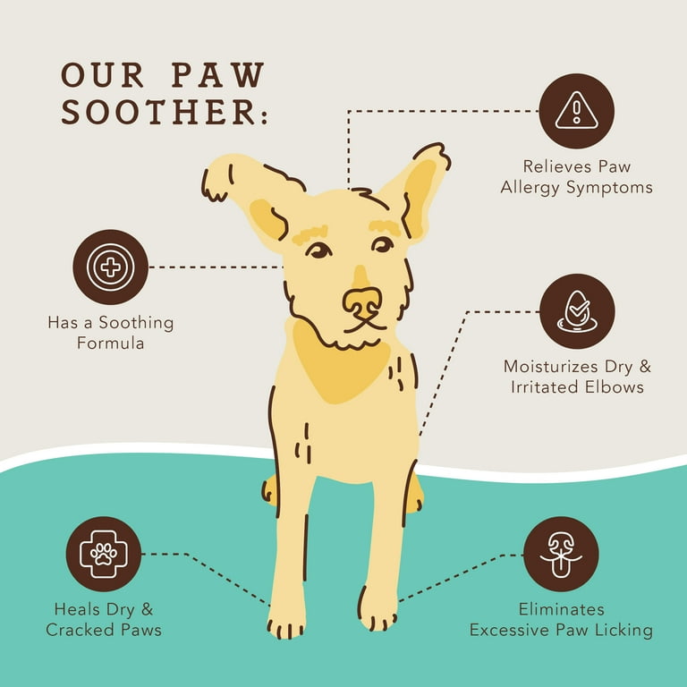 Dog paw healing top