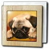 3dRose Pug, Tile Napkin Holder, 6-inch