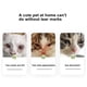 thumbnail image 5 of Cepillo quitamanchas de lágrimas SHZONS para perros y gatos, 5 of 7