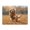 500 Pieces, variant on 500-Piece Wooden Jigsaw Puzzle for Adults - Dog Fetching Flying Disc Outdoors , Fun & Challenging Brain Teaser, Stylish Home Decor & Unique Gift