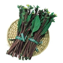 Yu Choy Sum Seeds - Kosaitai - Hon Tsai Tai - 3 g Packet ~920 Seeds - Non-GMO, Heirloom - Asian Garden Vegetable